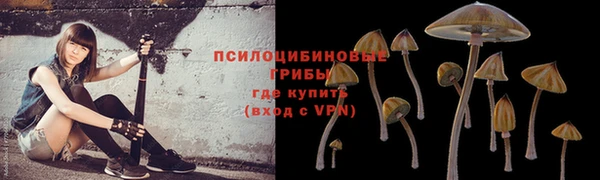 ешки Балабаново
