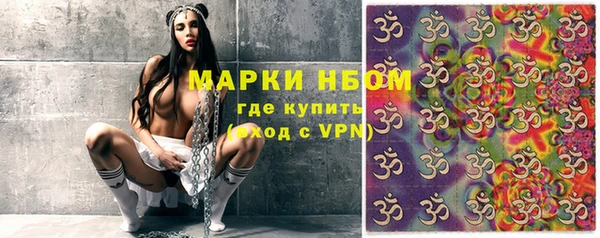 прущие грибы Слюдянка