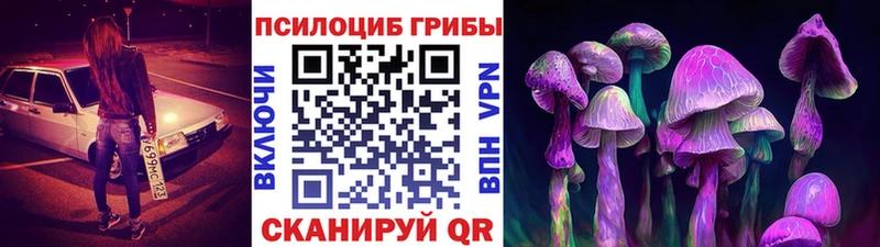 Псилоцибиновые грибы MAGIC MUSHROOMS  Ладушкин 